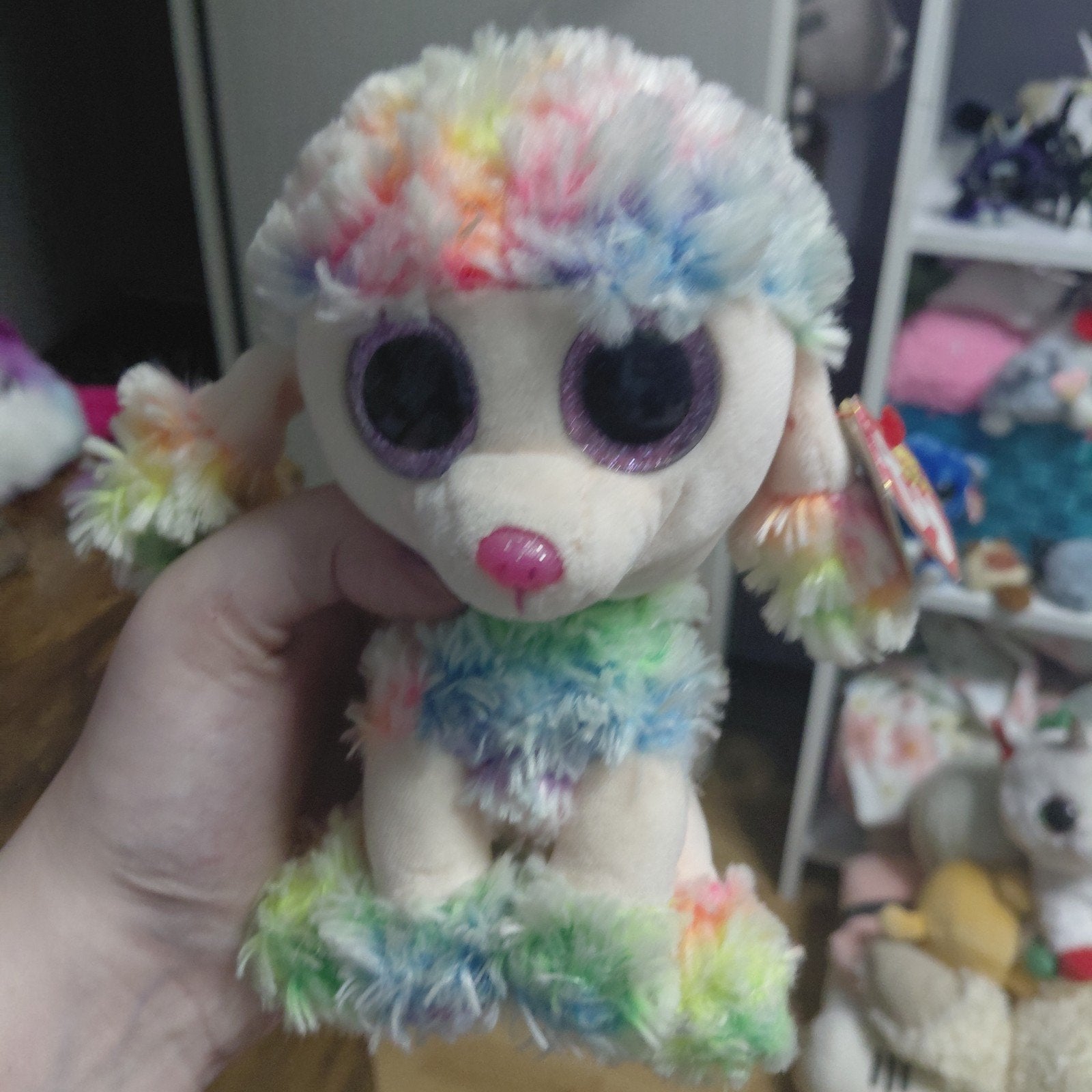 Ty Beanie Boos Rainbow the Poodle - 15 cm, Overige karakters, Nieuw, Met label, Meerkleurig
