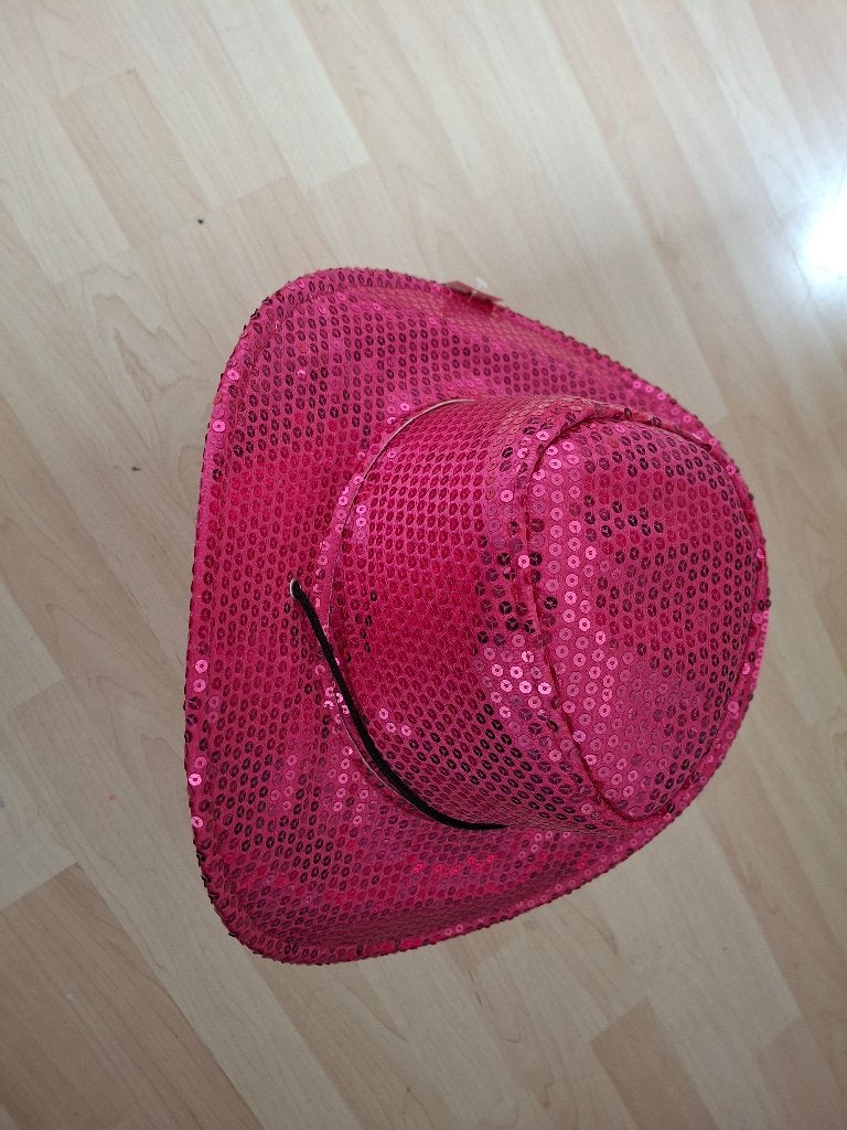 Glitter Hoed, Carnaval, Maat 46/48 (XL) of groter, Ophalen of Verzenden, Zo goed als nieuw