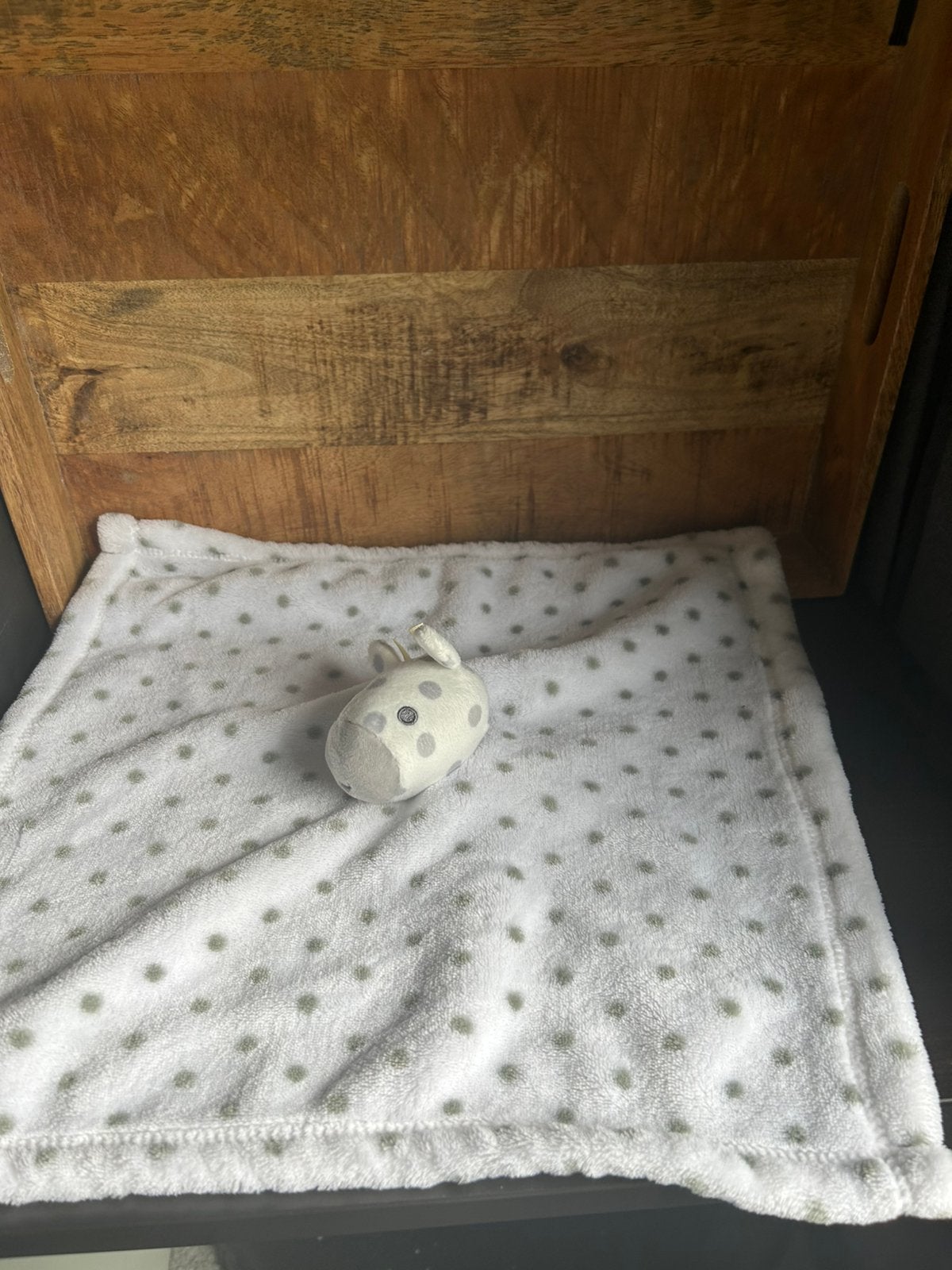 Primark early days giraf giraffe knuffeldoekje knuffeldoek, Verzenden, Zo goed als nieuw, Overige typen