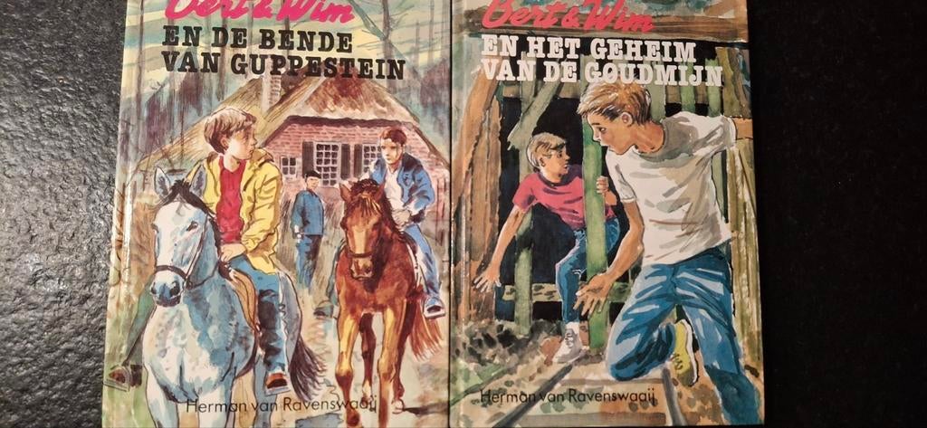 Bert en Wim Boeken - Herman van Ravenswaaij, Ophalen of Verzenden, Gelezen, Herman van Ravenswaaij, Fictie algemeen