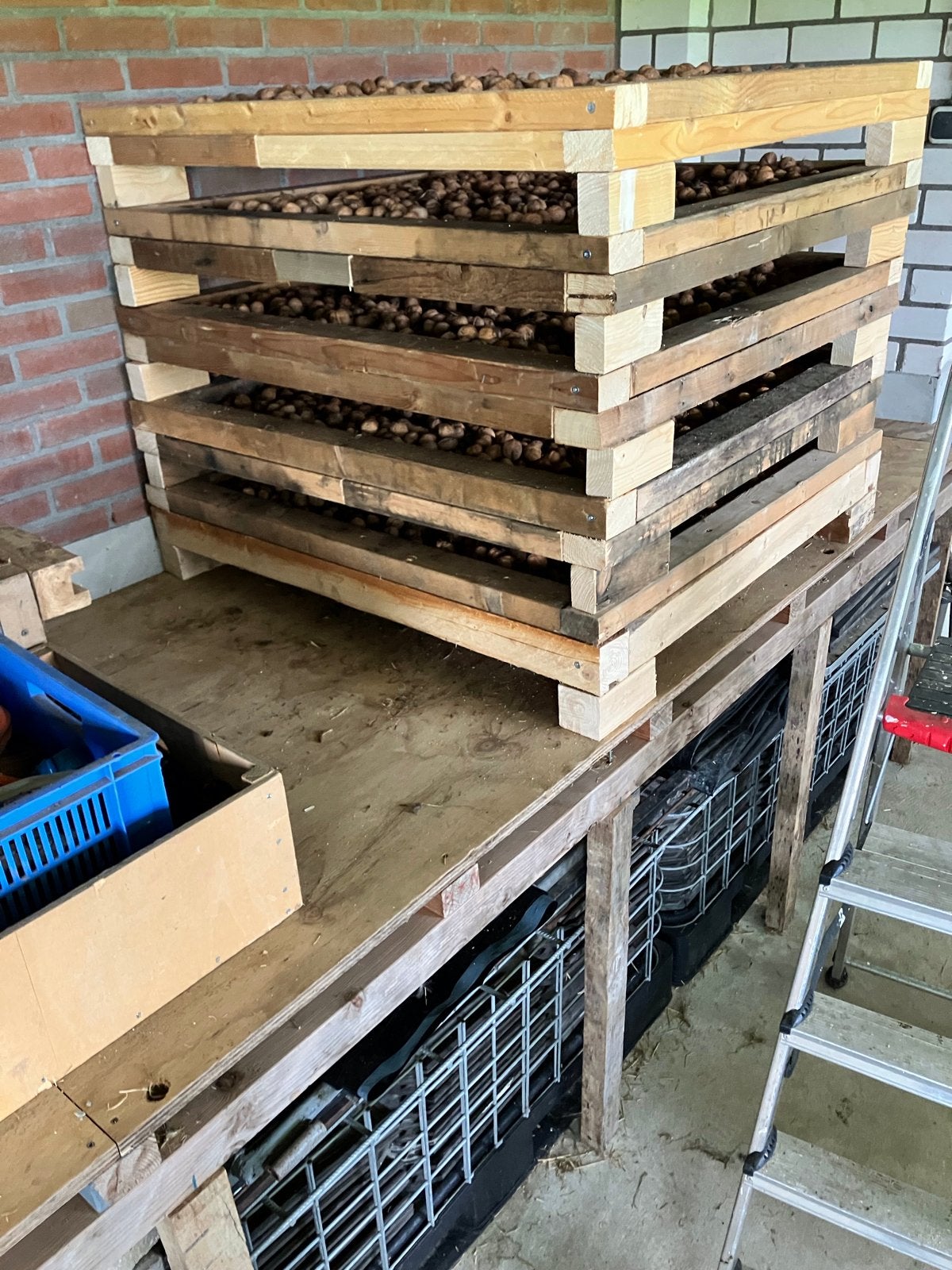 Verse walnoten van eigen oogst, Ophalen