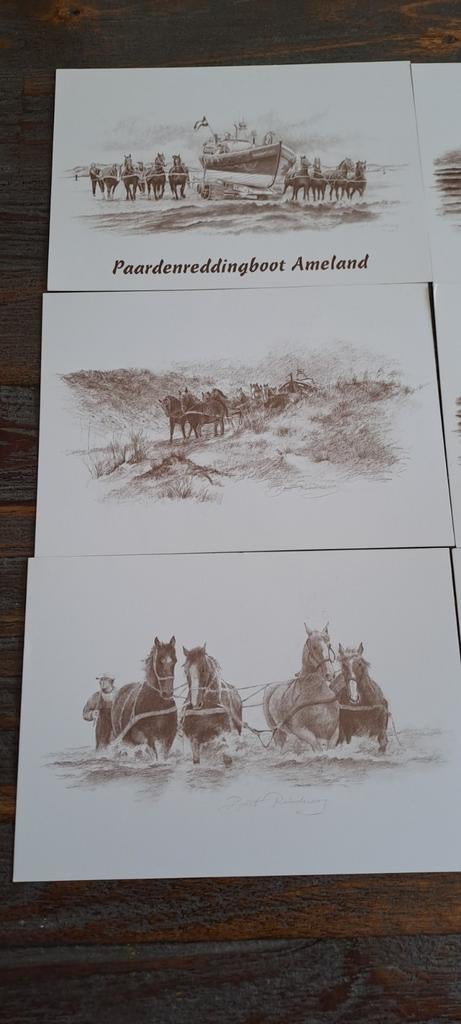 Ansichtkaarten Paardenreddingboot Ameland - Set van 5, Ophalen of Verzenden, 1980 tot heden, Ongelopen, Waddeneilanden