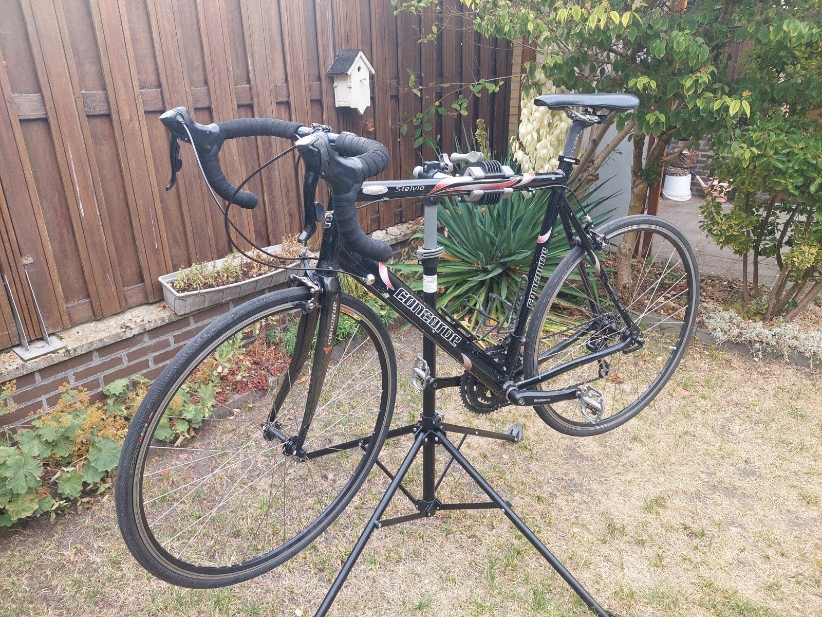 Concorde Stelvio racefiets, Fietsen en Brommers, Fietsen | Oldtimers, 59 cm of meer, Ophalen