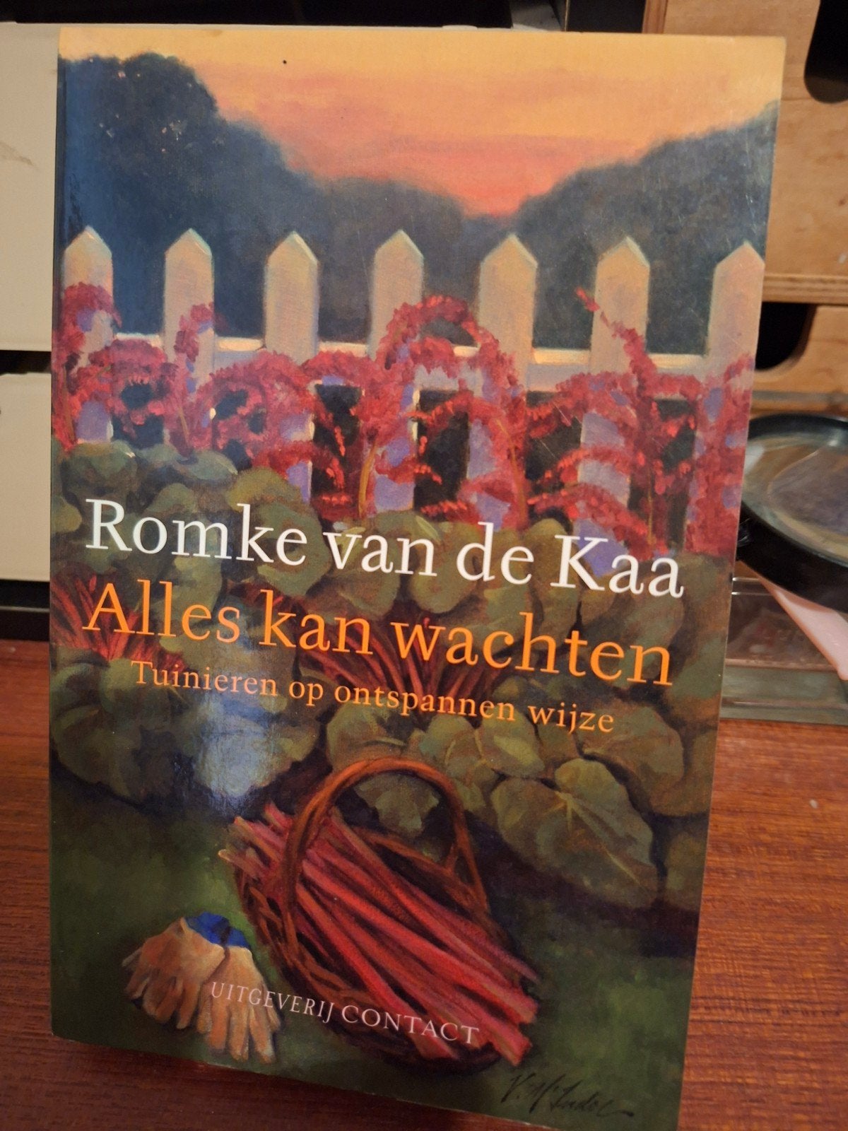 Romke van de Kaa - Alles kan wachten, Verzenden, Zo goed als nieuw, Interieur en Design, Romke van de Kaa