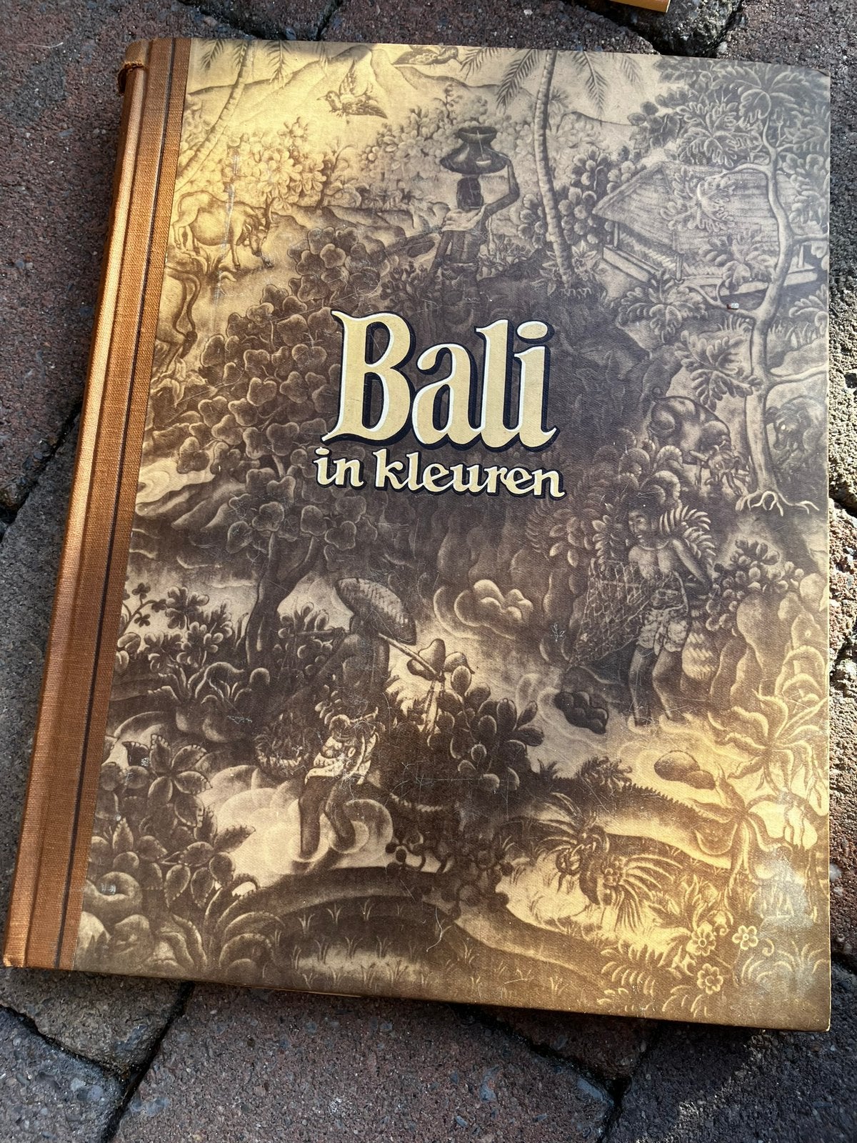 Bali in kleuren, Piet Bakker,  DE, Ophalen of Verzenden, Zo goed als nieuw, Overige onderwerpen
