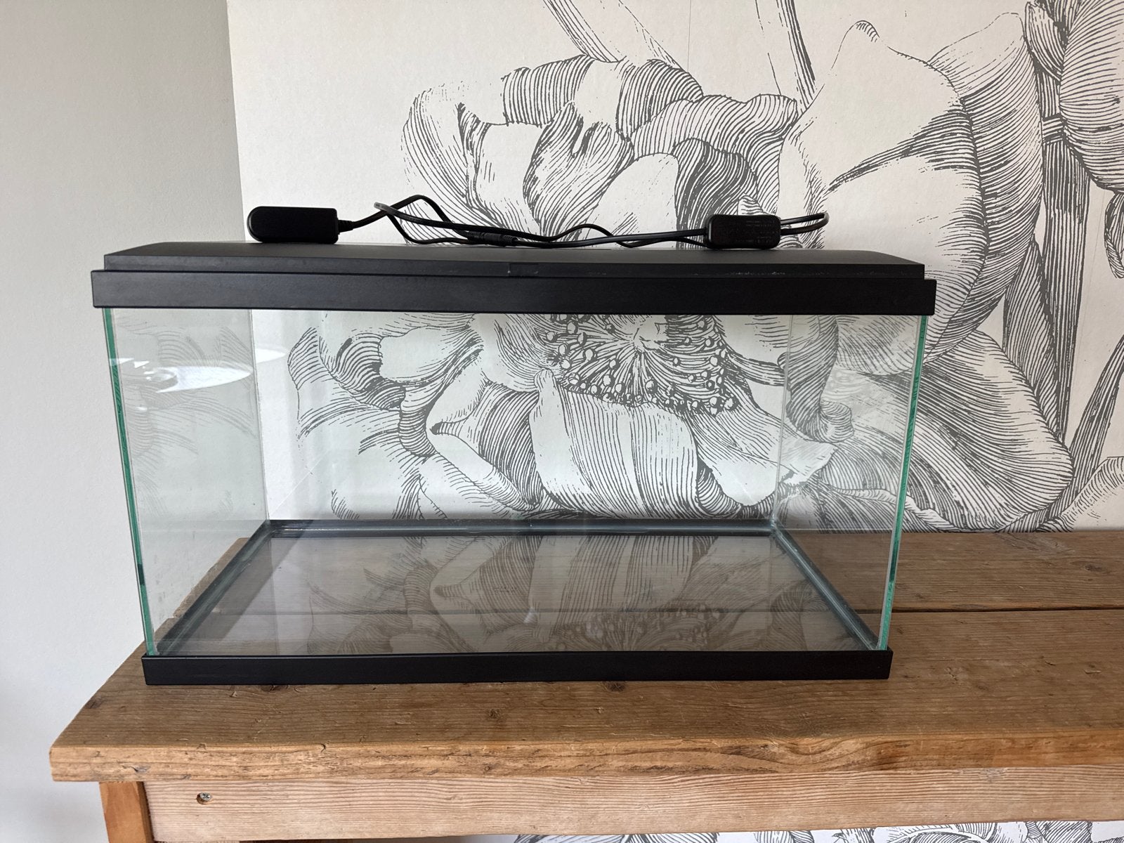Ciano Aqua 60 LED CF80 Aquarium – 58L – 60x30x33 cm – Zwart, Dieren en Toebehoren, Vissen | Aquaria en Toebehoren, Ophalen, Gebruikt