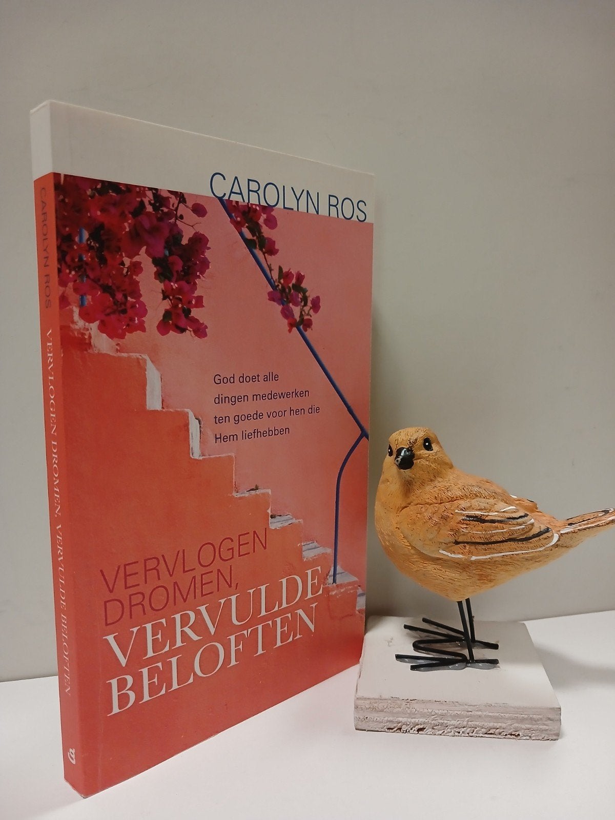 Ros, Carolyn; Vervlogen dromen, vervulde beloften, Ophalen of Verzenden, Gelezen, Christendom | Protestants