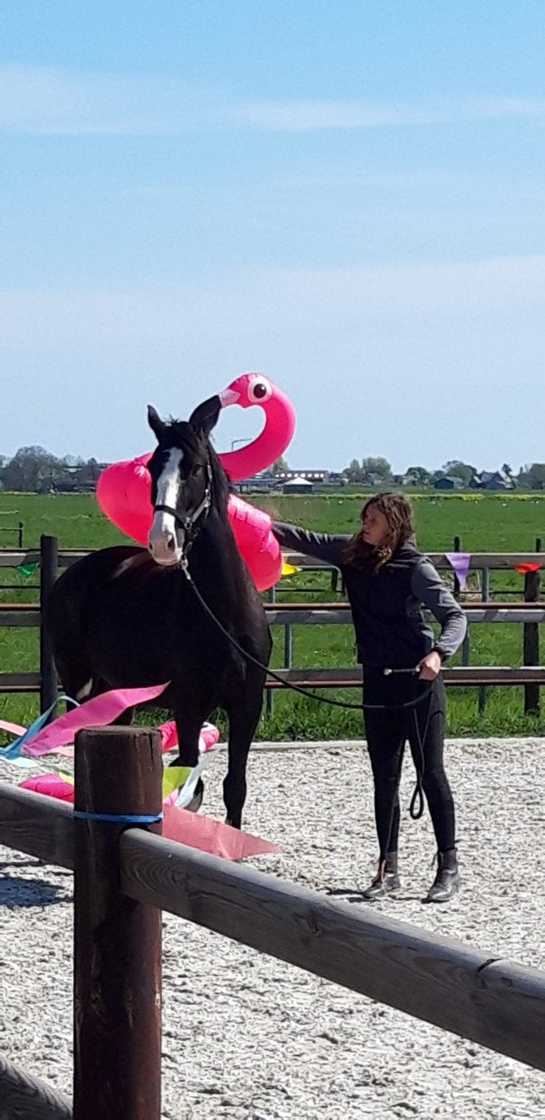 Per direct plek vrij voor trainingspaard/zadelmak maken, Dieren en Toebehoren, Paarden en Pony's | Overige Paardenspullen, Ophalen