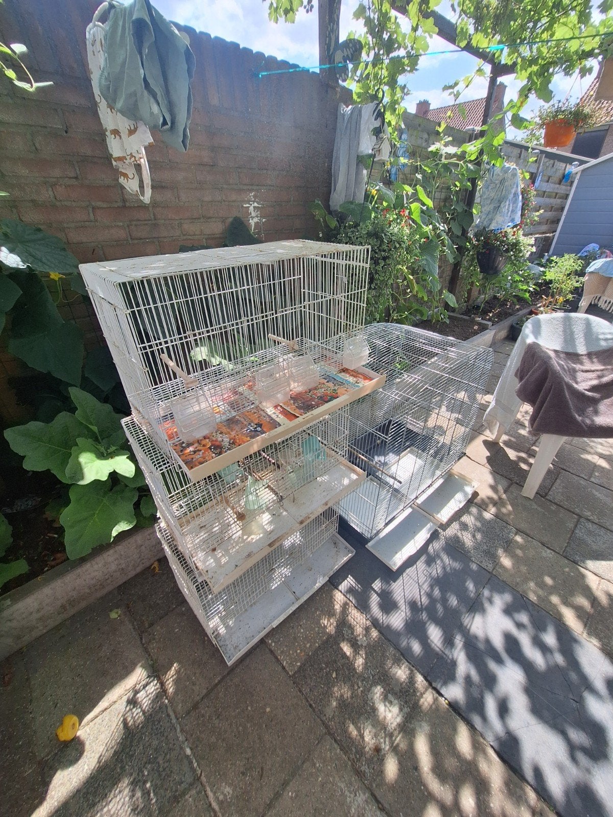 Kooien voor vogels., Ophalen of Verzenden, Gebruikt, Kooi, Minder dan 60 cm