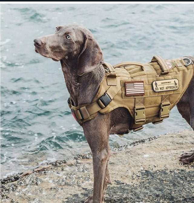 OneTigris X-Destroyer Hondenharnas, tactisch hondentuig, Ophalen, Nieuw, Hondenriem-accessoire