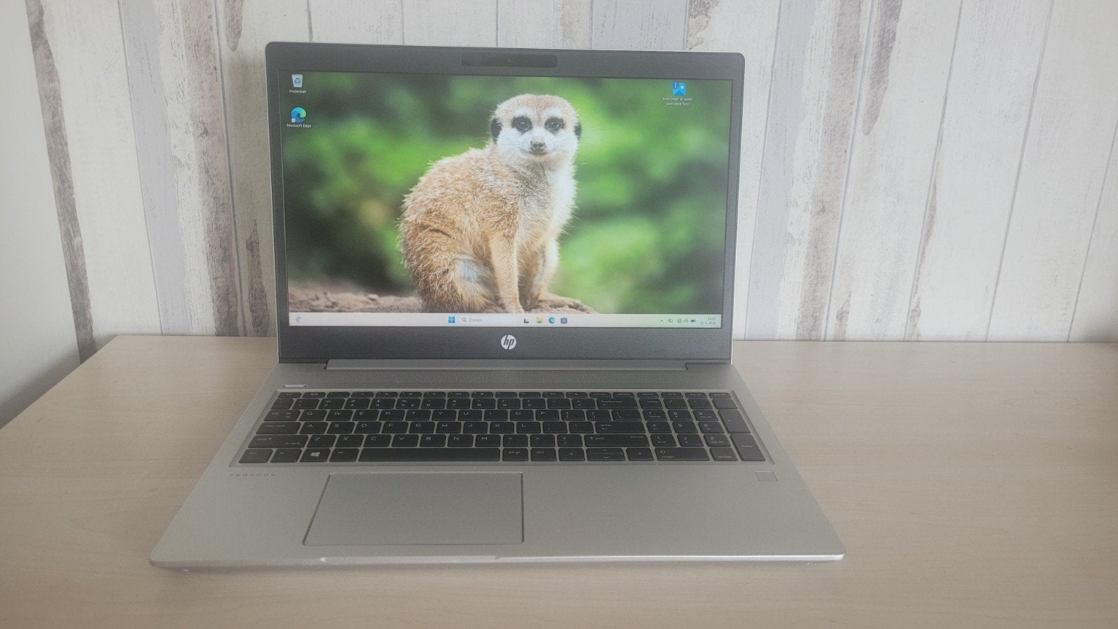 HP ProBook | Ryzen 5 | 16GB DDR4 | 256GB NVMe SSD, Computers en Software, Windows Laptops, Zo goed als nieuw, 15 inch, SSD, 2 tot 3 Ghz
