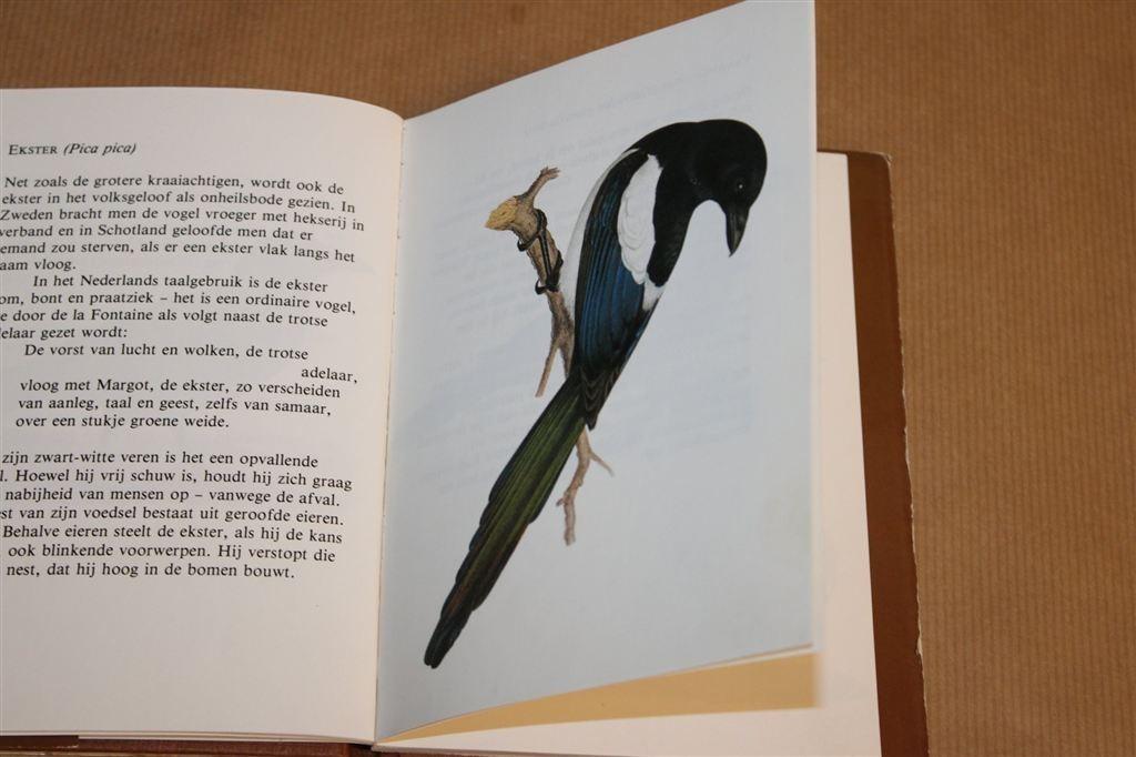 Vogels — Torenboekje — Met Kleurenafbeeldingen, Verzenden, Gelezen, Vogels