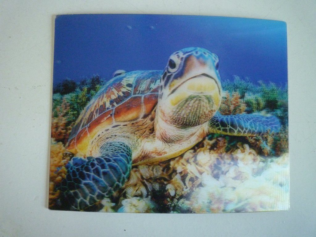3D kaart met schildpad, Ophalen of Verzenden, Voor 1920, Paard