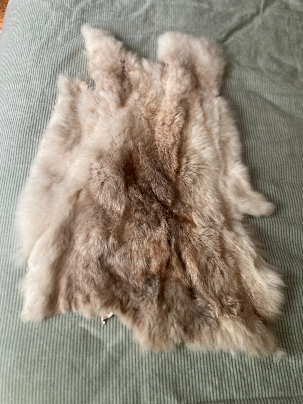 Konijnenvachtje - Decoratief en Zacht, Minder dan 50 cm, Gebruikt, Bruin, Ophalen of Verzenden