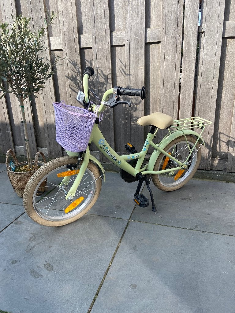 Kinderfiets, Ophalen, Terugtraprem, Zijwieltjes, Fun flower