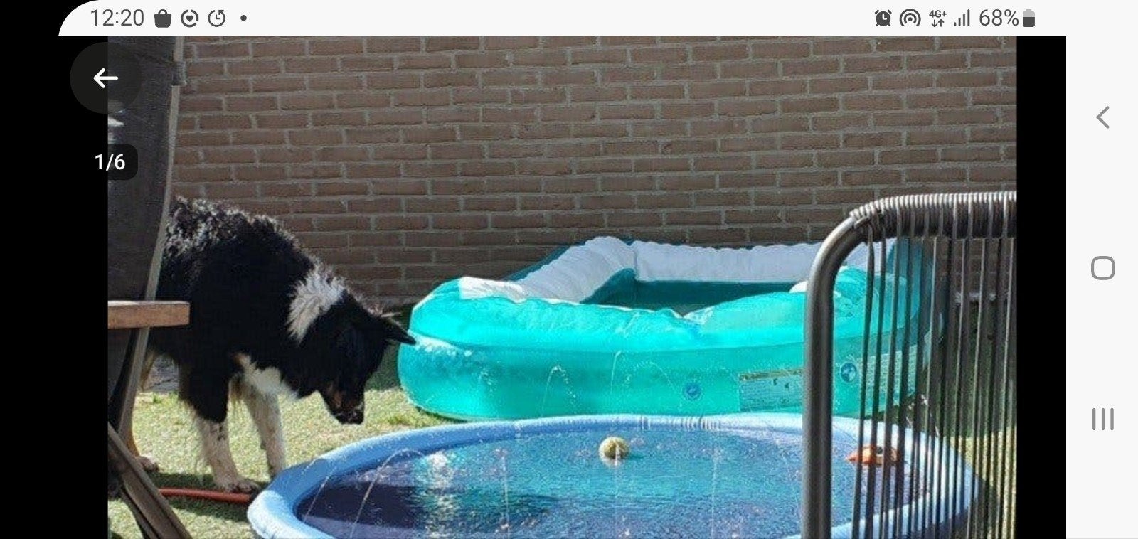 honden watermat/badje met fonteintjes, Dieren en Toebehoren, Ophalen of Verzenden