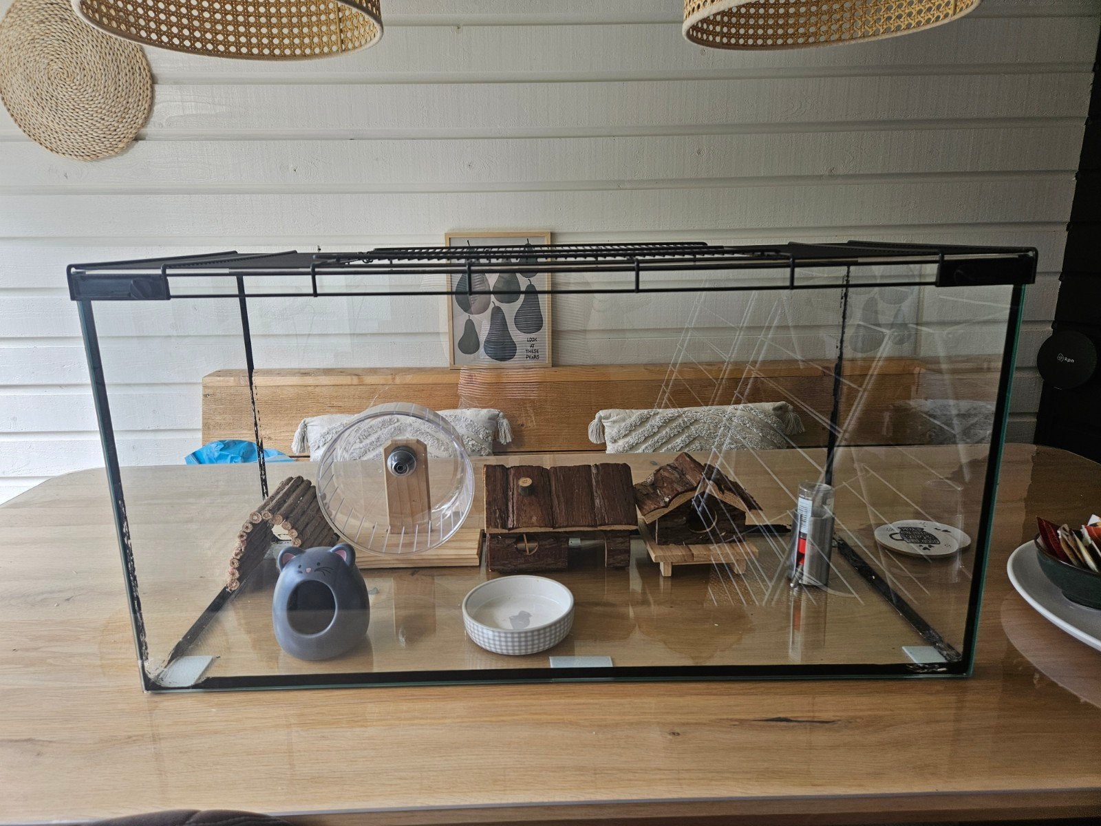 Glazen hamster/gerbil hok/kooi met benodigdheden, Dieren en Toebehoren, Ophalen, Gebruikt, Hok, Hamster