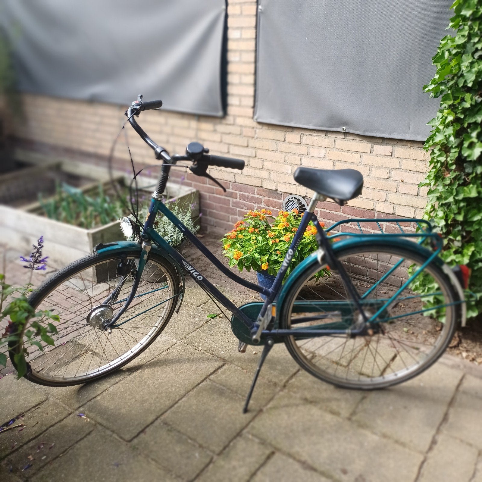Vico damesfiets - Wel op leeftijd, nog fit!, Gebruikt, Velgrem, Versnellingen, Ophalen