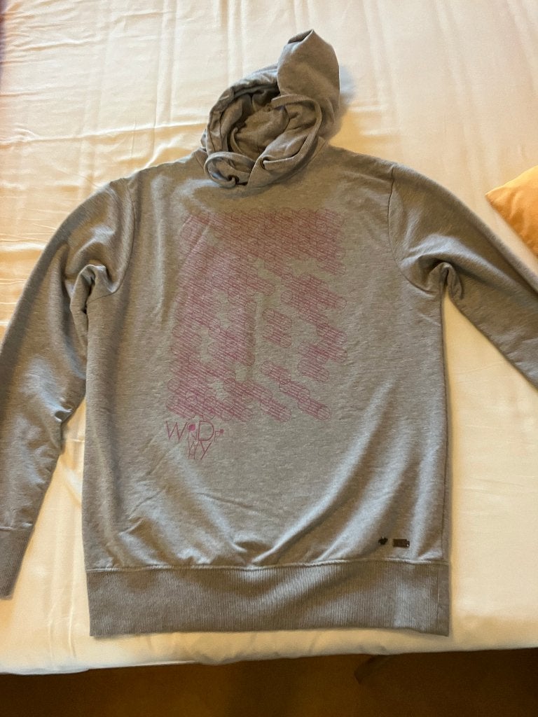 sweater met capuchon, Kleding | Heren, Truien en Vesten, Maat 52/54 (L), Ophalen of Verzenden, Zo goed als nieuw, Grijs