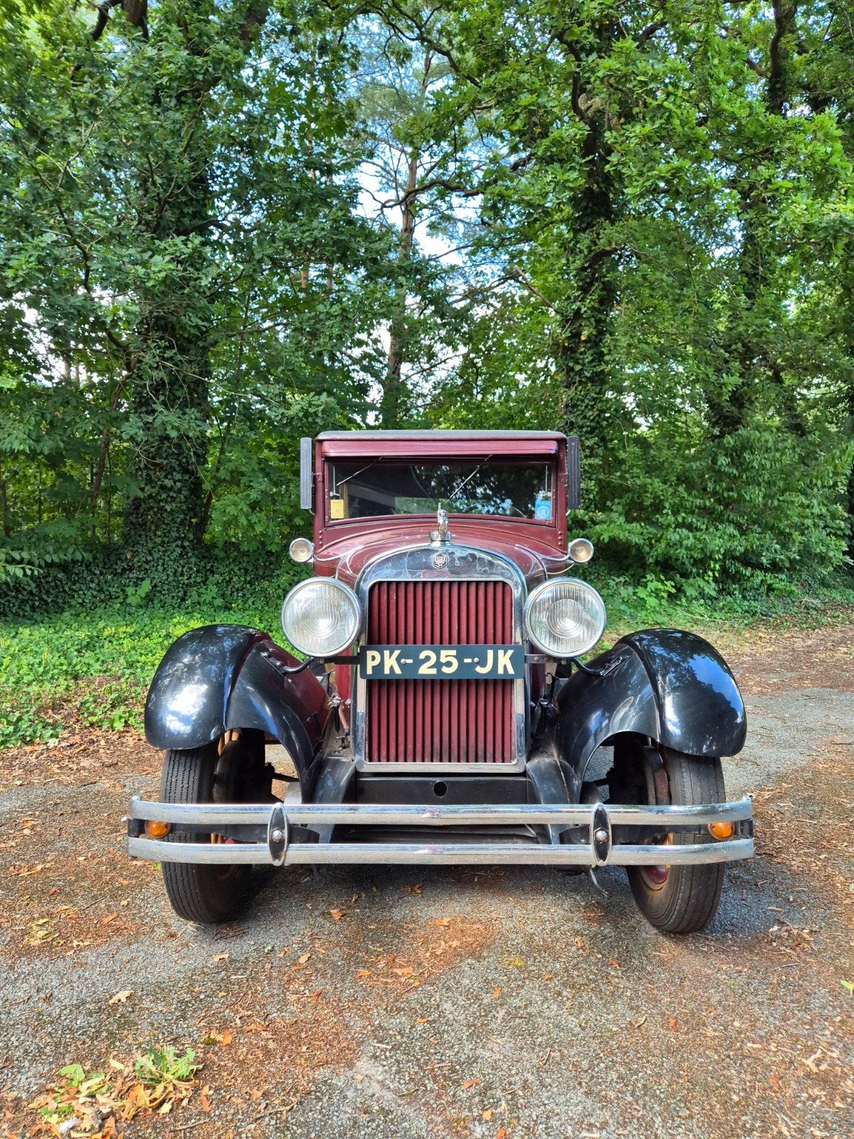 Essex 1928 Rood, Auto's, 1350 kg, Particulier, Geïmporteerd, Rood