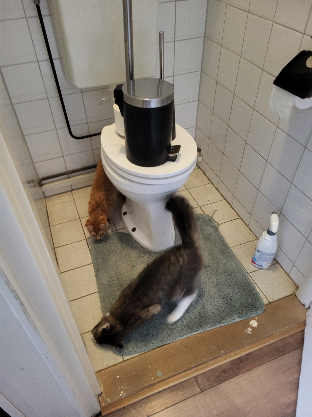 poetshulp gevraagd, Ophalen, Overige typen