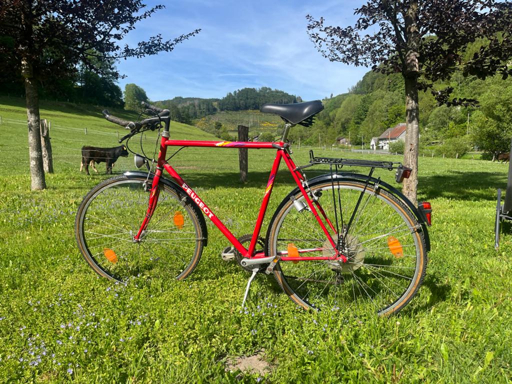 Peugeot Princeton vintage herenfiets, Gebruikt, 57 tot 61 cm, Ophalen, Overige merken