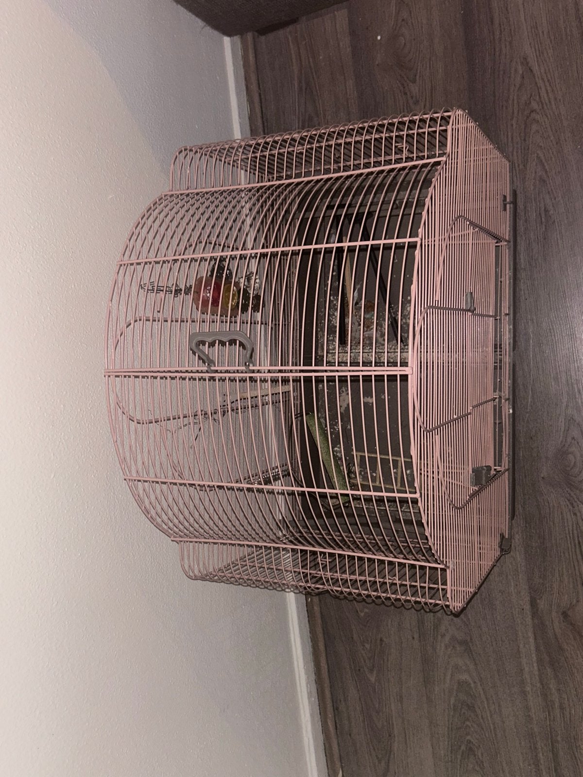 Vogelkooi, Dieren en Toebehoren, Ophalen of Verzenden, Metaal, Vogelkooi