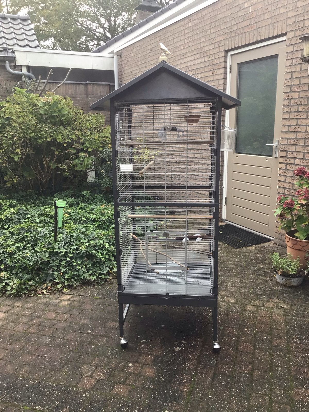 Binnen/buiten volière, Dieren en Toebehoren, Ophalen, Zo goed als nieuw, Metaal, Volière