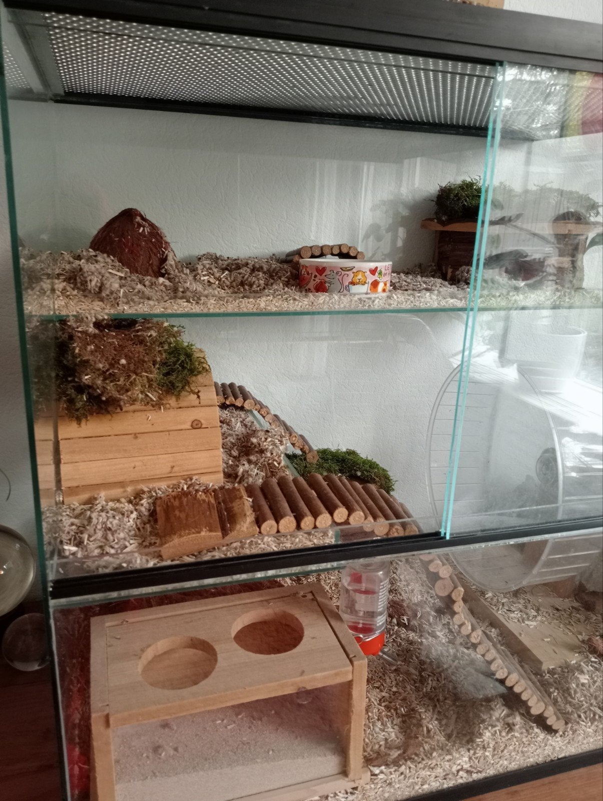 Gerbilarium van glas voor klein knaagdier., Dieren en Toebehoren, Ophalen, Minder dan 75 cm, Kooi, Minder dan 60 cm