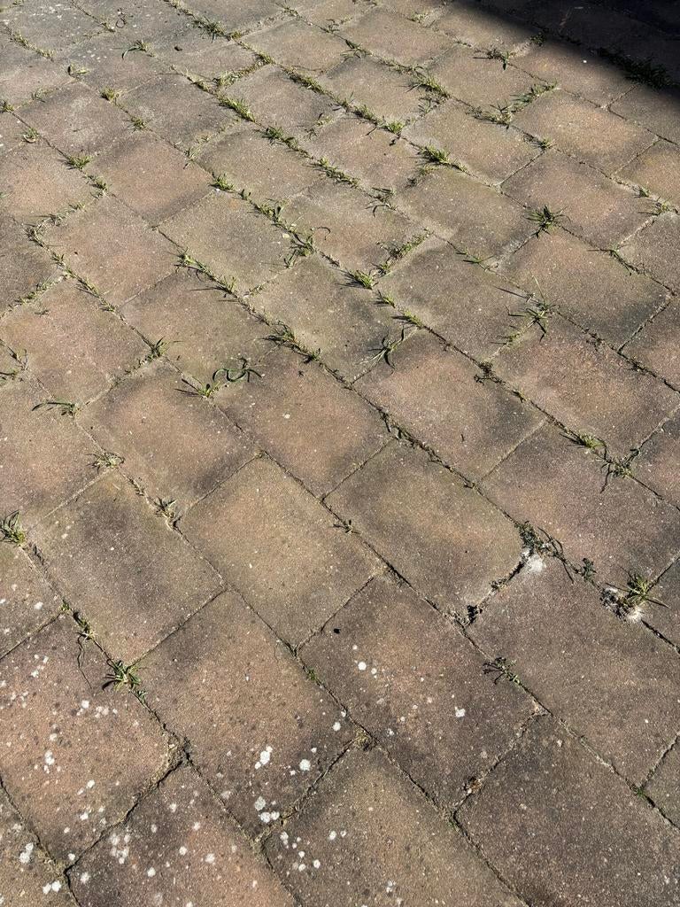110m2 Gratis 15x15 en 20x30 klinkers, Ophalen, Gebruikt, Klinkers, 10 m² of meer