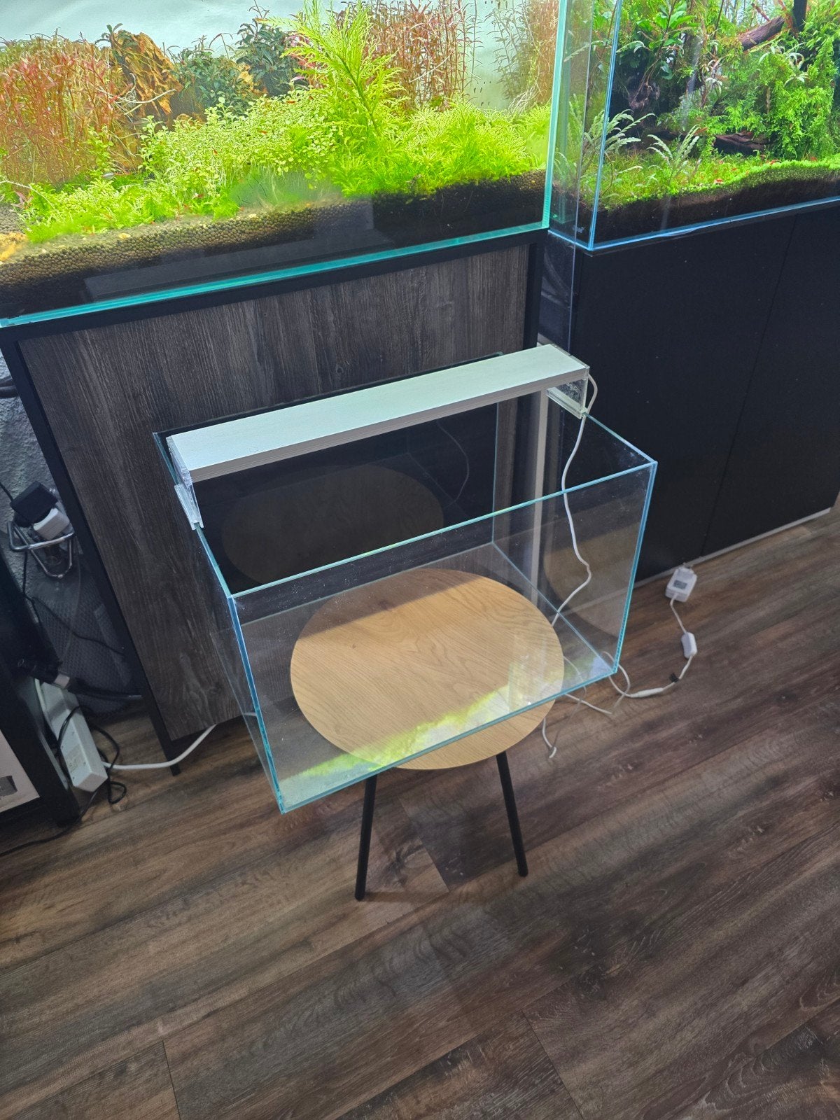 Aquarium Super Fish, Dieren en Toebehoren, Vis, Zoetwatervis, Schoolvis