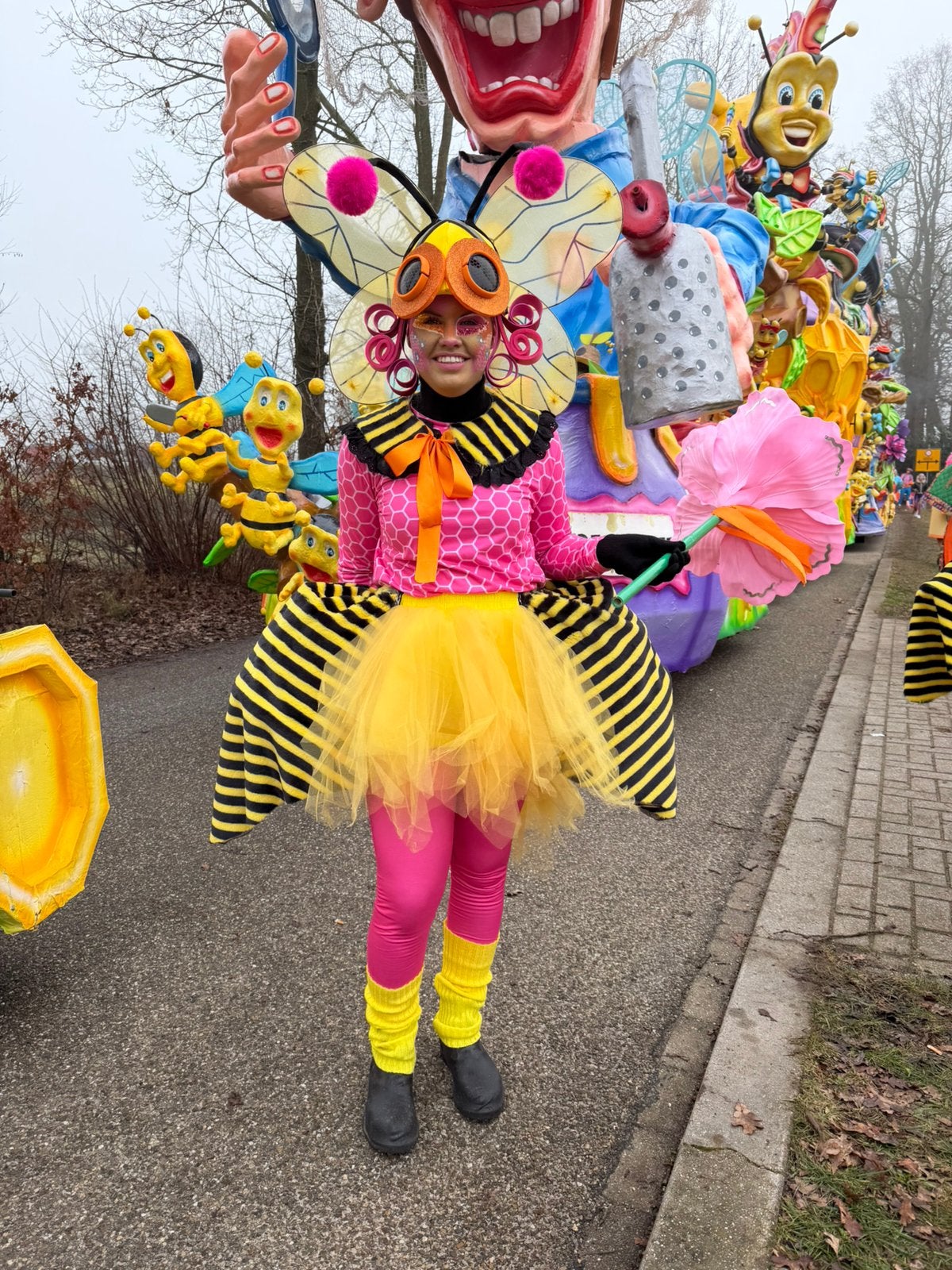 Grote loopgroep thema bijen en imkers carnaval, Kleding | Dames, Carnavalskleding en Feestkleding, Zo goed als nieuw, Carnaval