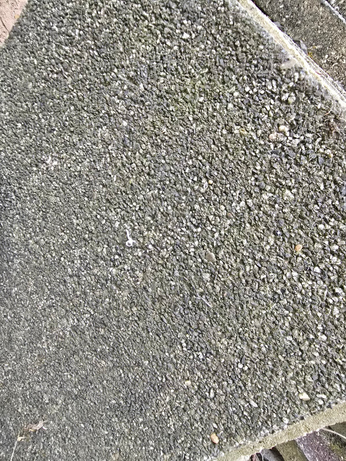 Gratis af te halen: 25m2 betonnen terrastegels wildverband, Ophalen, Gebruikt, 10 m² of meer, Beton