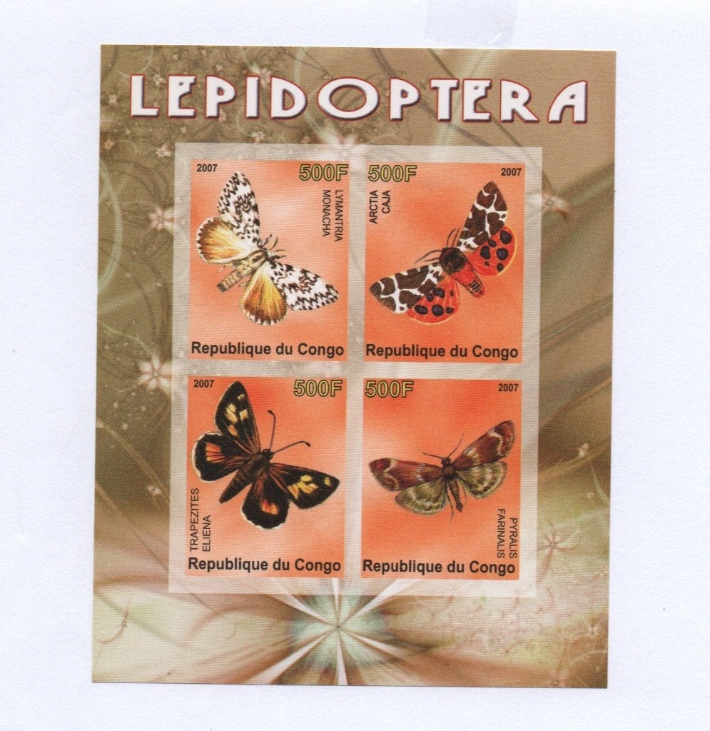 Vlinders - du Congo 2007 - Postfris mint ( ongeperforeerd ) , Verzenden, Postfris, Dier of Natuur