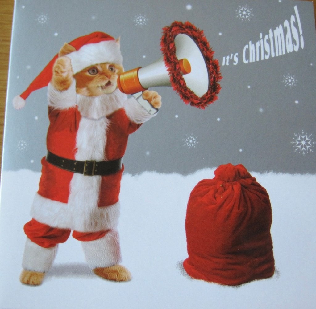 Kerst - poes verkleed als kerstman - it's Christmas, Verzenden, 1980 tot heden, Gelopen, Overige thema's