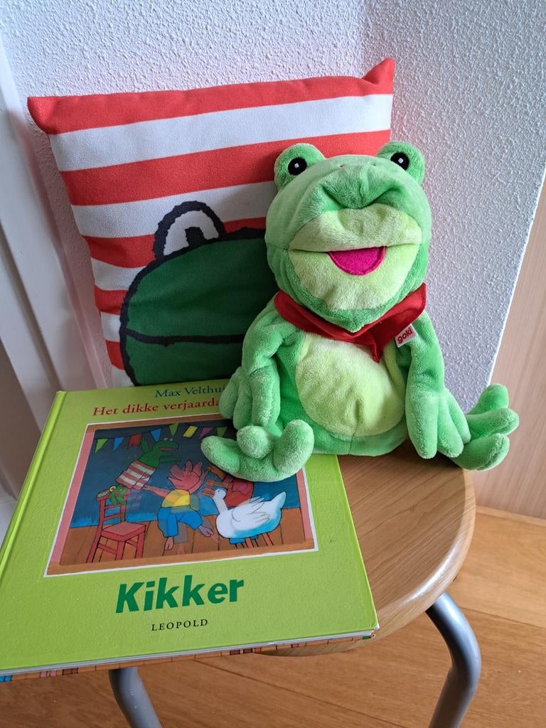 Leuk Kikker pakket met boek, kussentje en Kikkerhandpop, Boeken, Ophalen, Zo goed als nieuw, Fictie algemeen