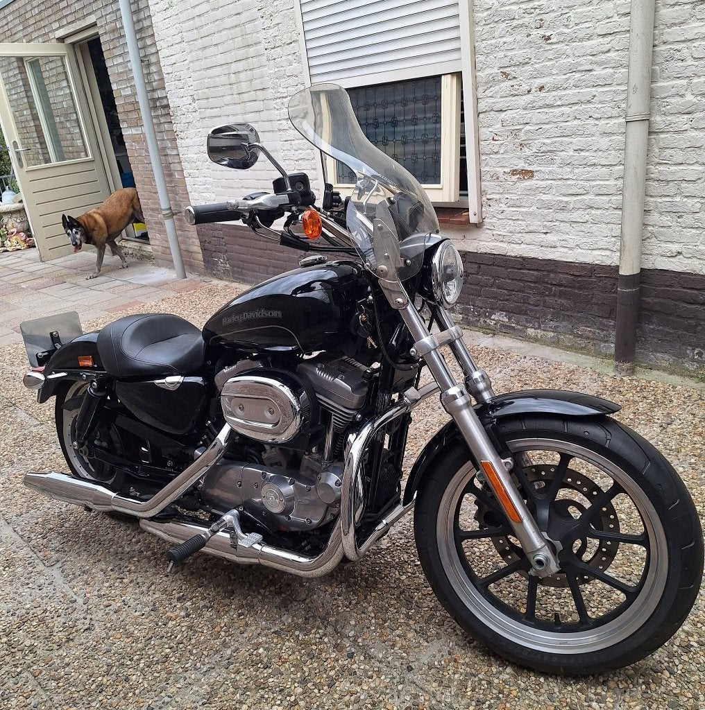 Te koop Harley Davidson Sportster 883 XL Superlow, 2 cilinders, Motorrijbewijs A, Gebruikt, 883 cc