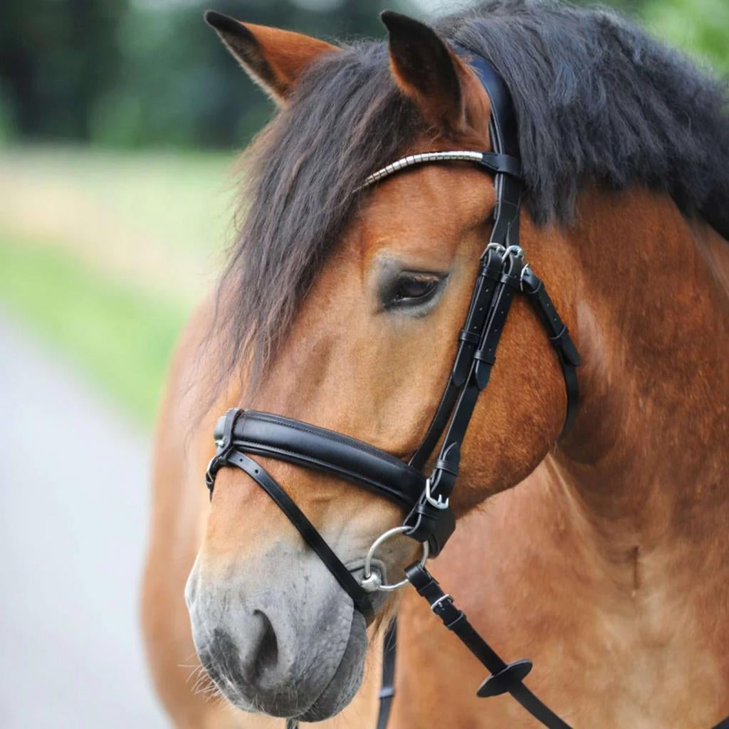 Trekpaard hoofdstel, Ophalen of Verzenden, Nieuw, Overige soorten