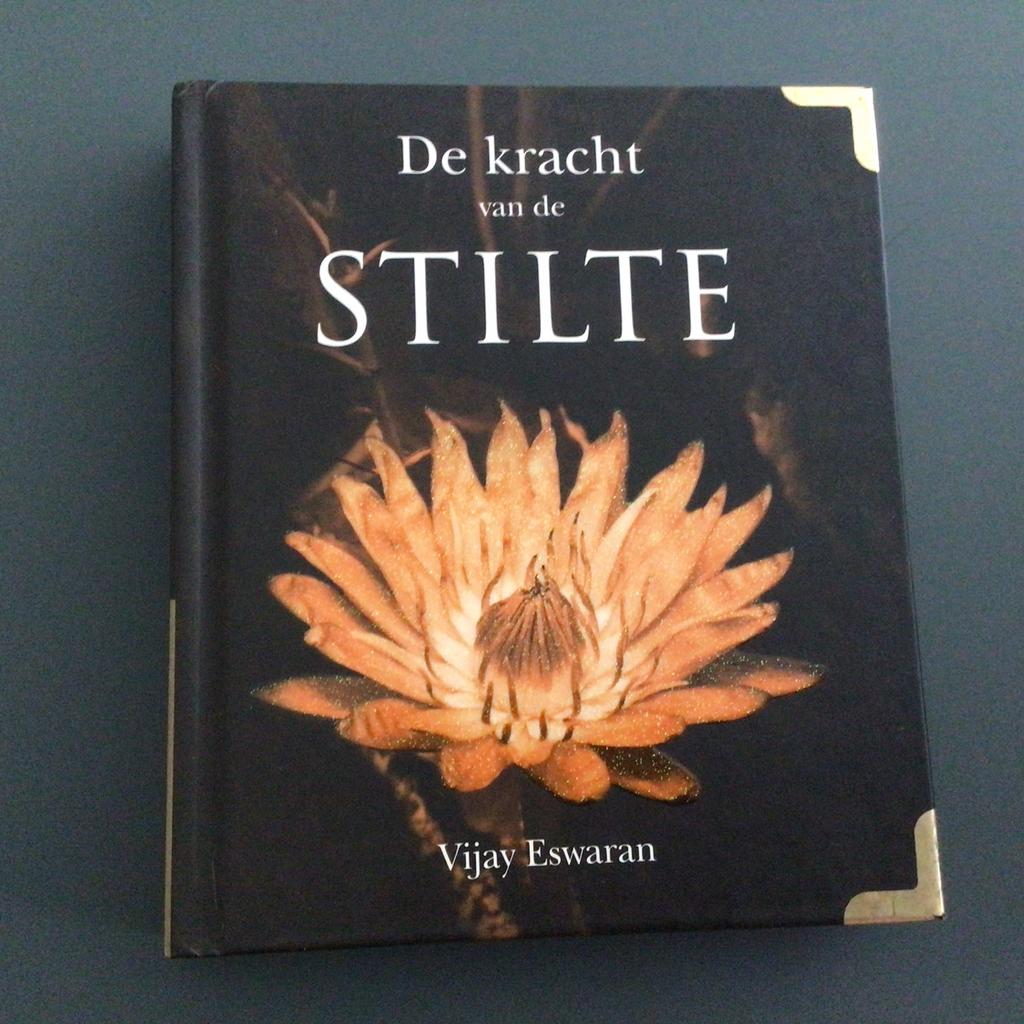 Vijay Eswaran - De kracht van de stilte, Achtergrond en Informatie, Ophalen of Verzenden, Zo goed als nieuw, Spiritualiteit algemeen