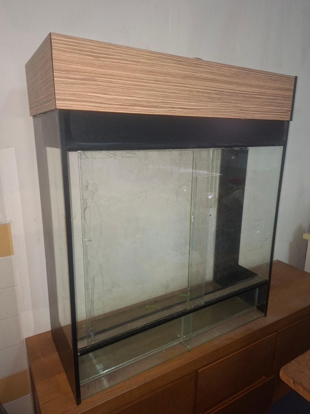 terrarium, Dieren en Toebehoren, Ophalen