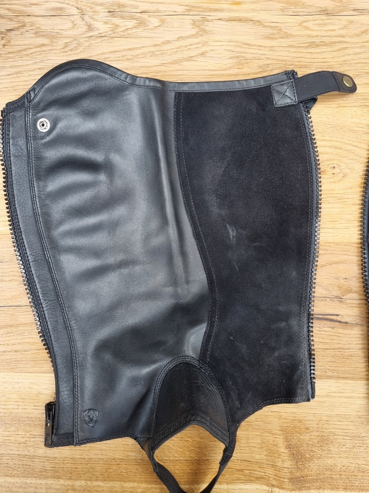ARIAT Concord chap, Ophalen of Verzenden