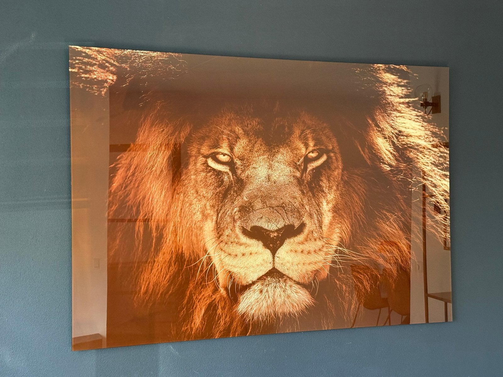 Indrukwekkende Leeuwenkop op Plexiglas, Ophalen, 50 – 75, 75 tot 100 cm, Print