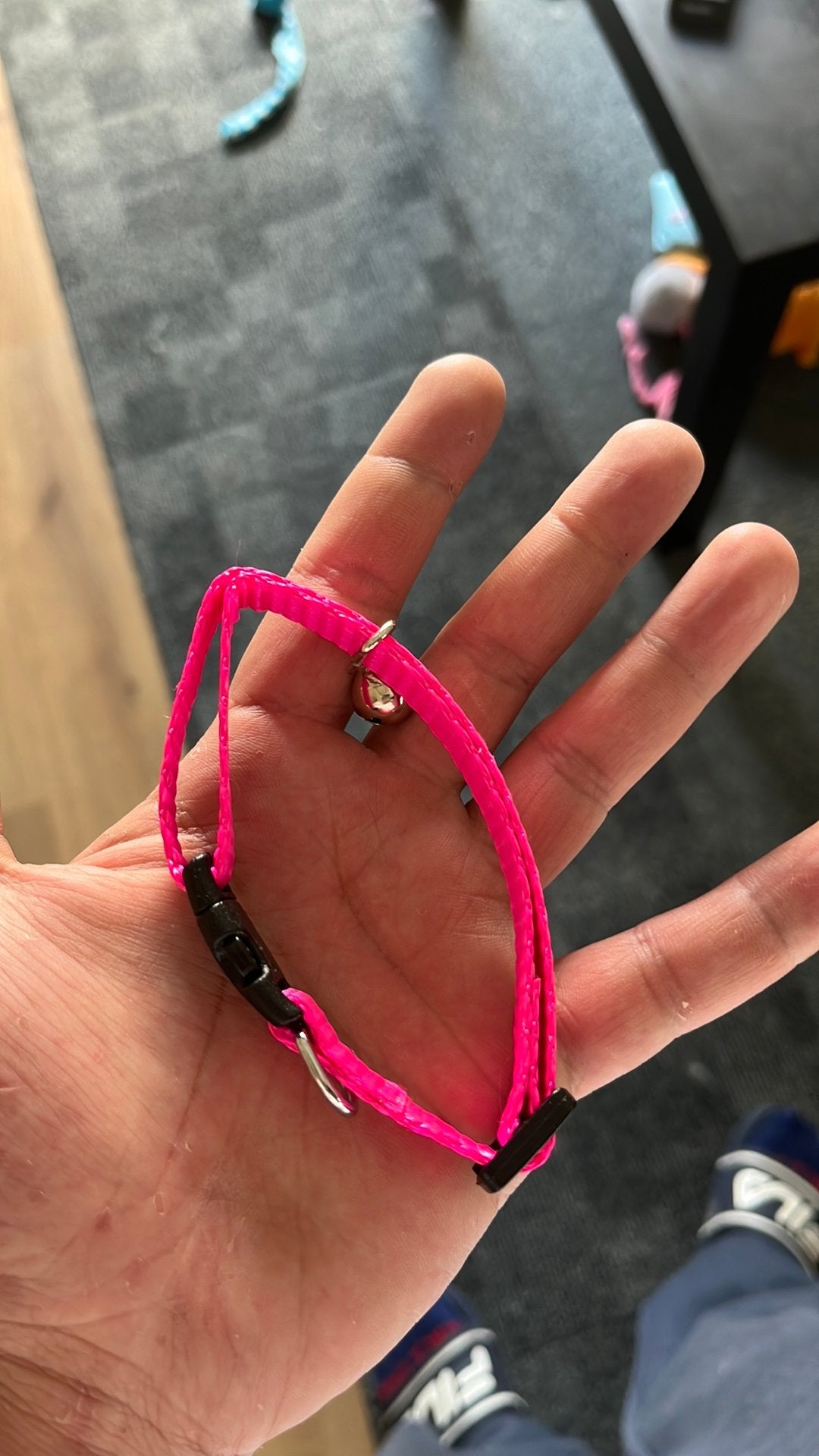 Hals band voor katten, Ophalen, Nieuw