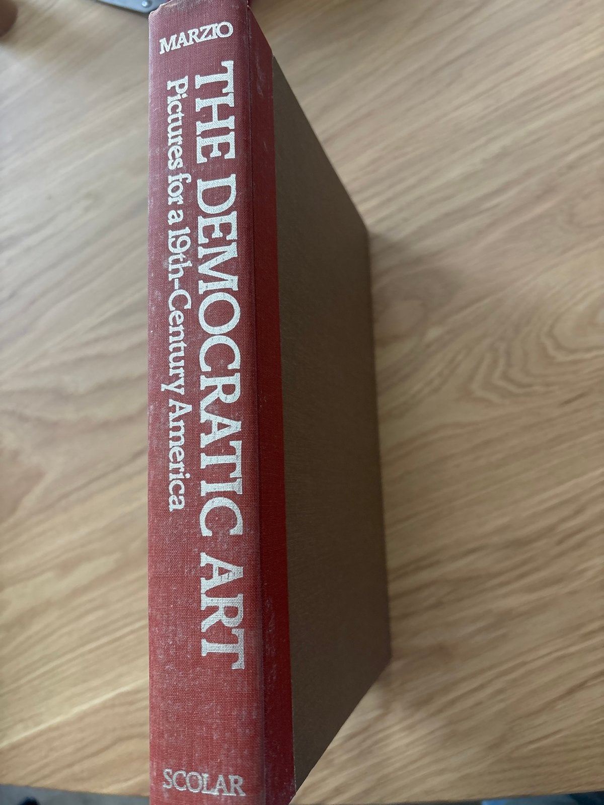 The Democratic Art: Pictures for a 19th-Century America, Ophalen of Verzenden, Gelezen, Fotografie algemeen