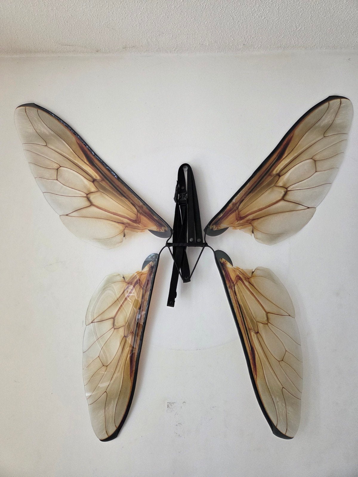 Transparante Vlinder Vleugels - Insect Fairy Wings, Hobby en Vrije tijd, Ophalen, Zo goed als nieuw, Accessoires