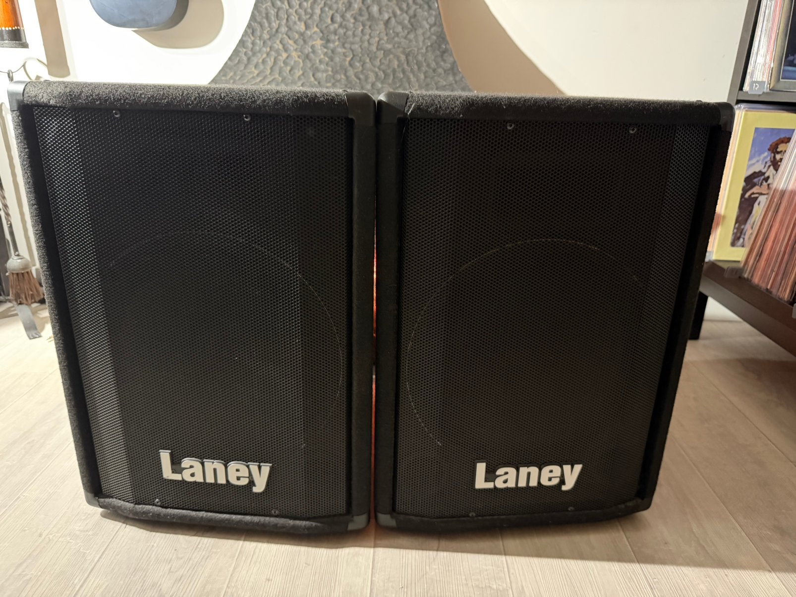 Laney CT12 – set van 2 vintage passieve PA speakers, Ophalen, Zo goed als nieuw, Minder dan 500 watt, P.A.
