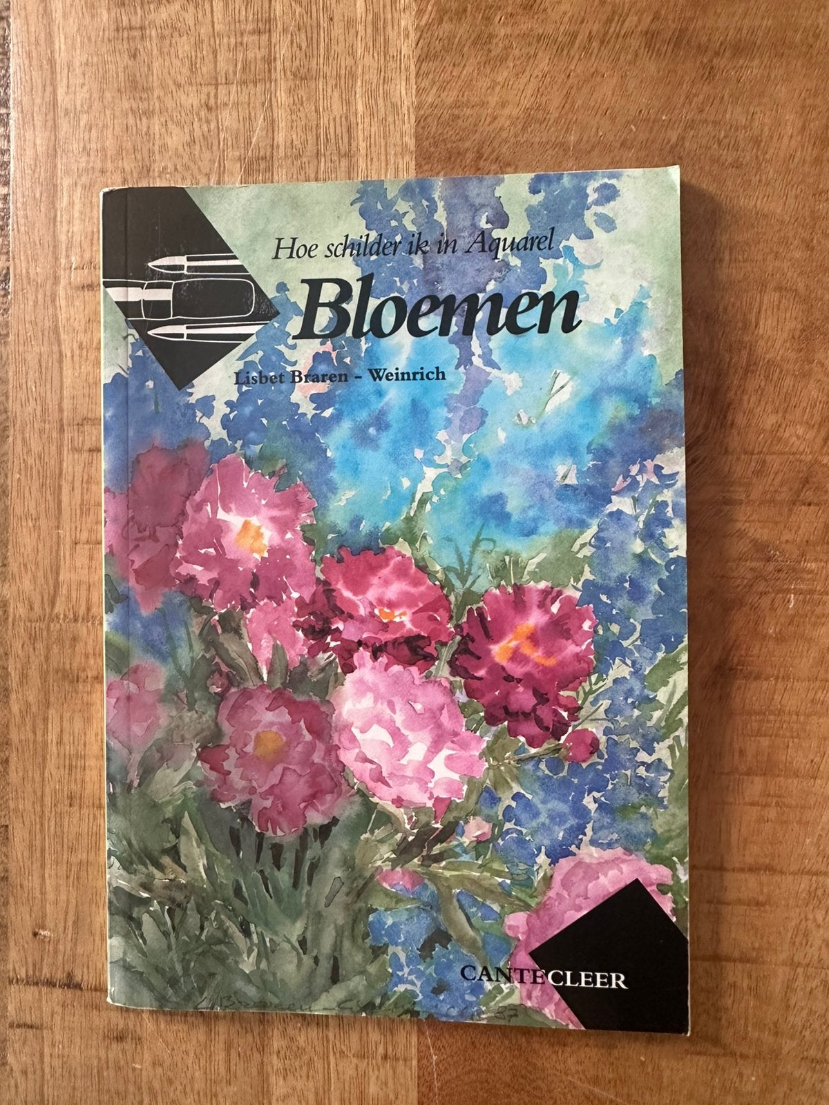 Hoe schilder ik in Aquarel: Bloemen - Lisbet Braren-Weinrich, Boeken, Ophalen of Verzenden, Gelezen, Overige onderwerpen