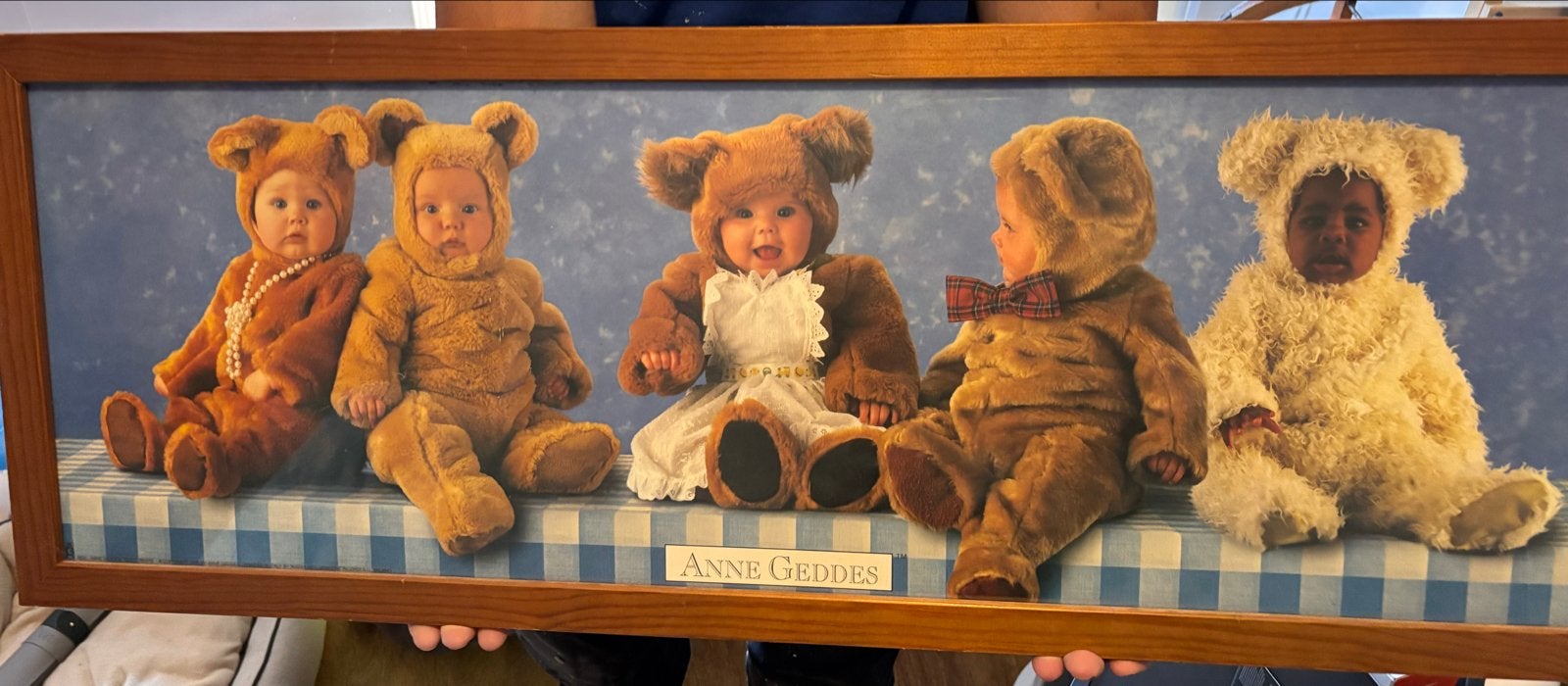 Anne Geddes Baby Beren Poster/Print, Ophalen, Gebruikt, Oorspronkelijke maker, Print