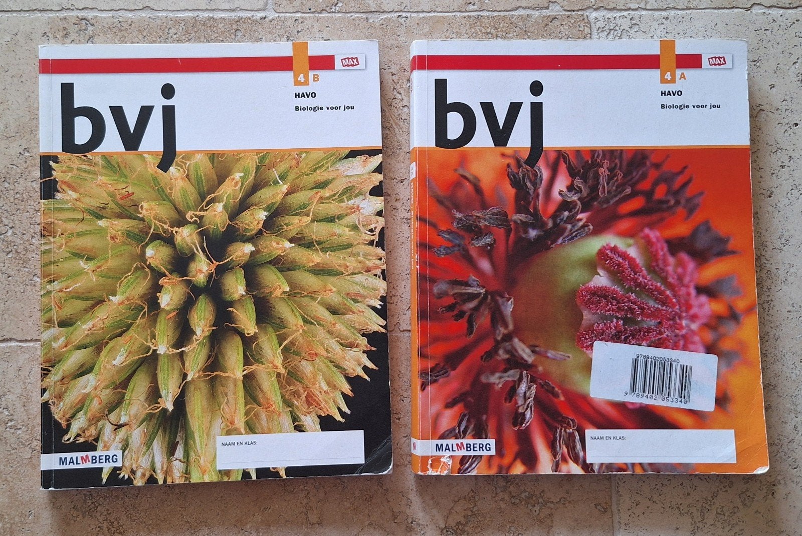 Biologie voor jou - havo 4 a & b, Malmberg, Biologie, HAVO, Ophalen of Verzenden