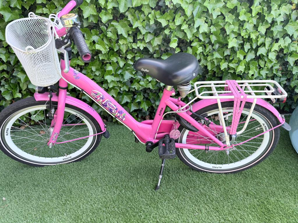 Alpina meisjes fiets 20 inch, Ophalen, Gebruikt, Handrem, 20 inch